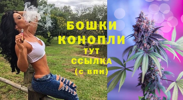 МДПВ Анжеро-Судженск