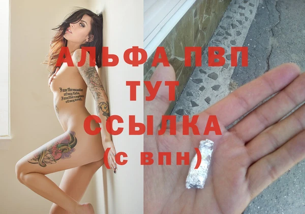 стафф Михайловск