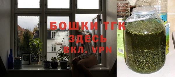 гидра Медвежьегорск