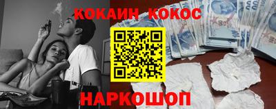 дмт Гай