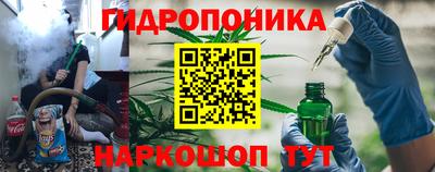 дмт Гай