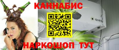 дмт Гай