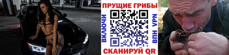 Галлюциногенные грибы мицелий  Киров 