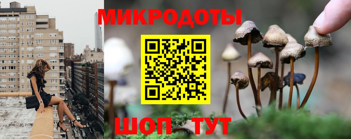 Псилоцибиновые грибы Cubensis Киров
