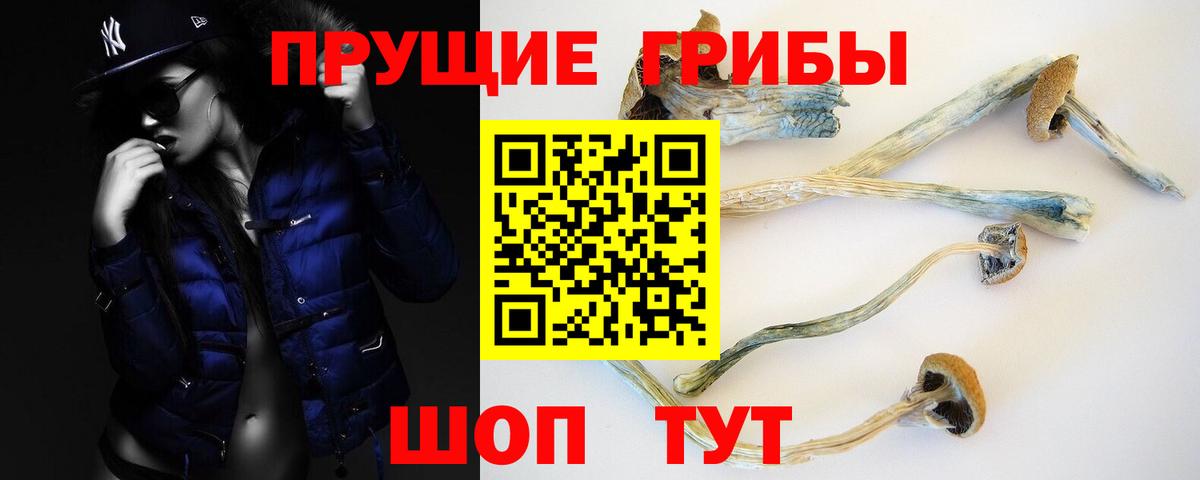 Киров  Псилоцибиновые грибы мухоморы  Вход с VPN 
